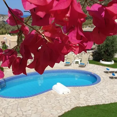 Vadim * Bali (Crete)